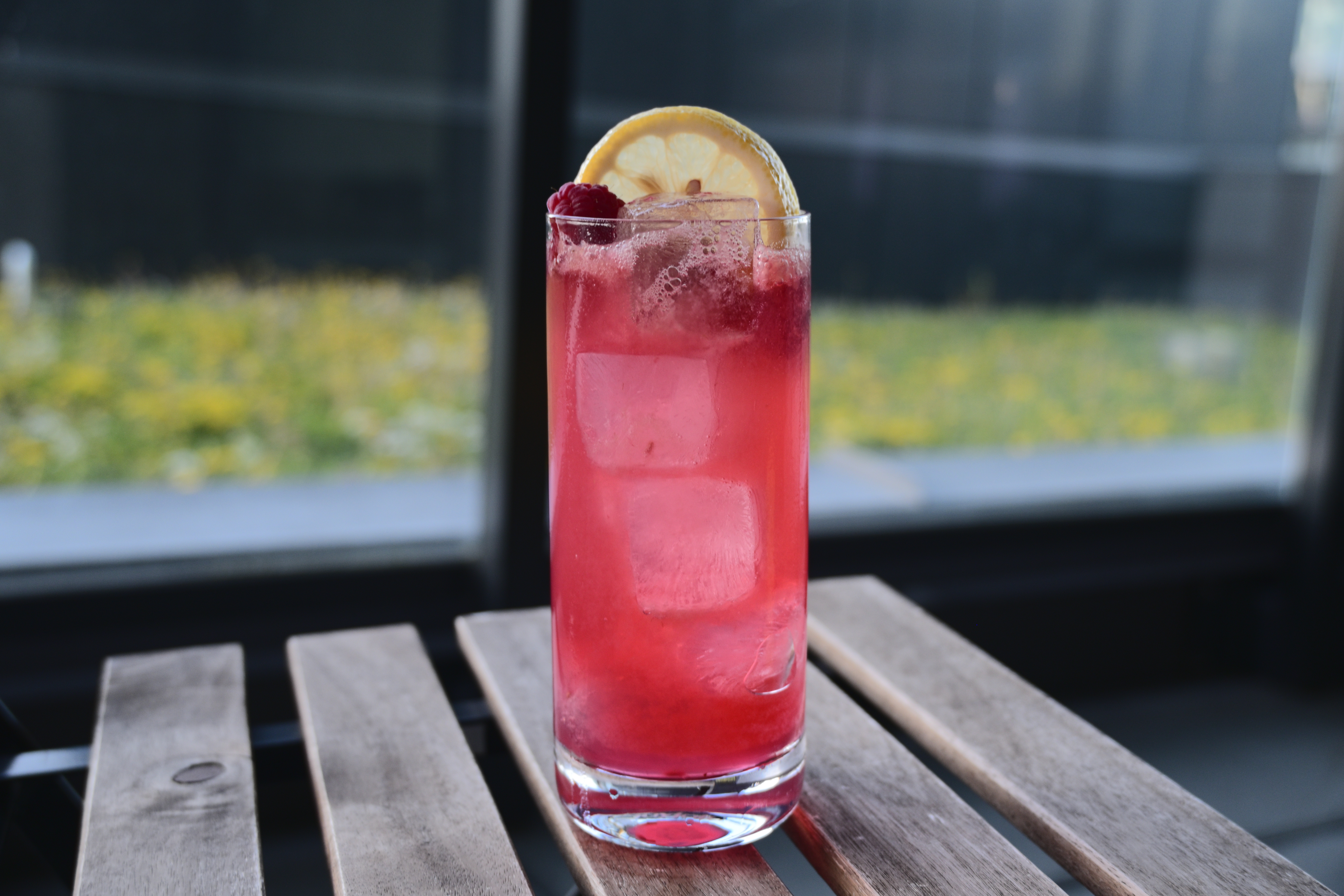 Raspberry Gin