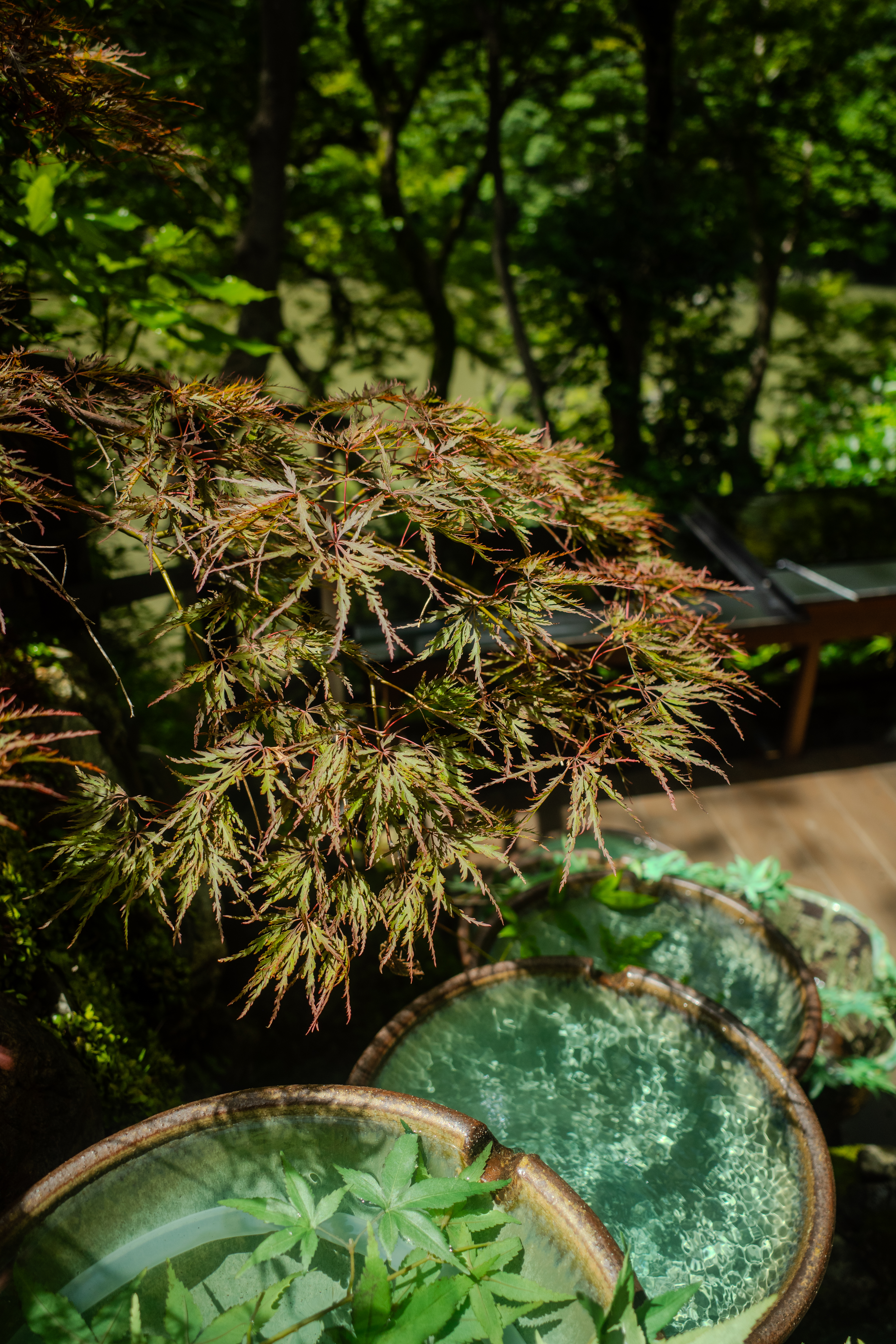 Arashiyama Yusai-Tei 1