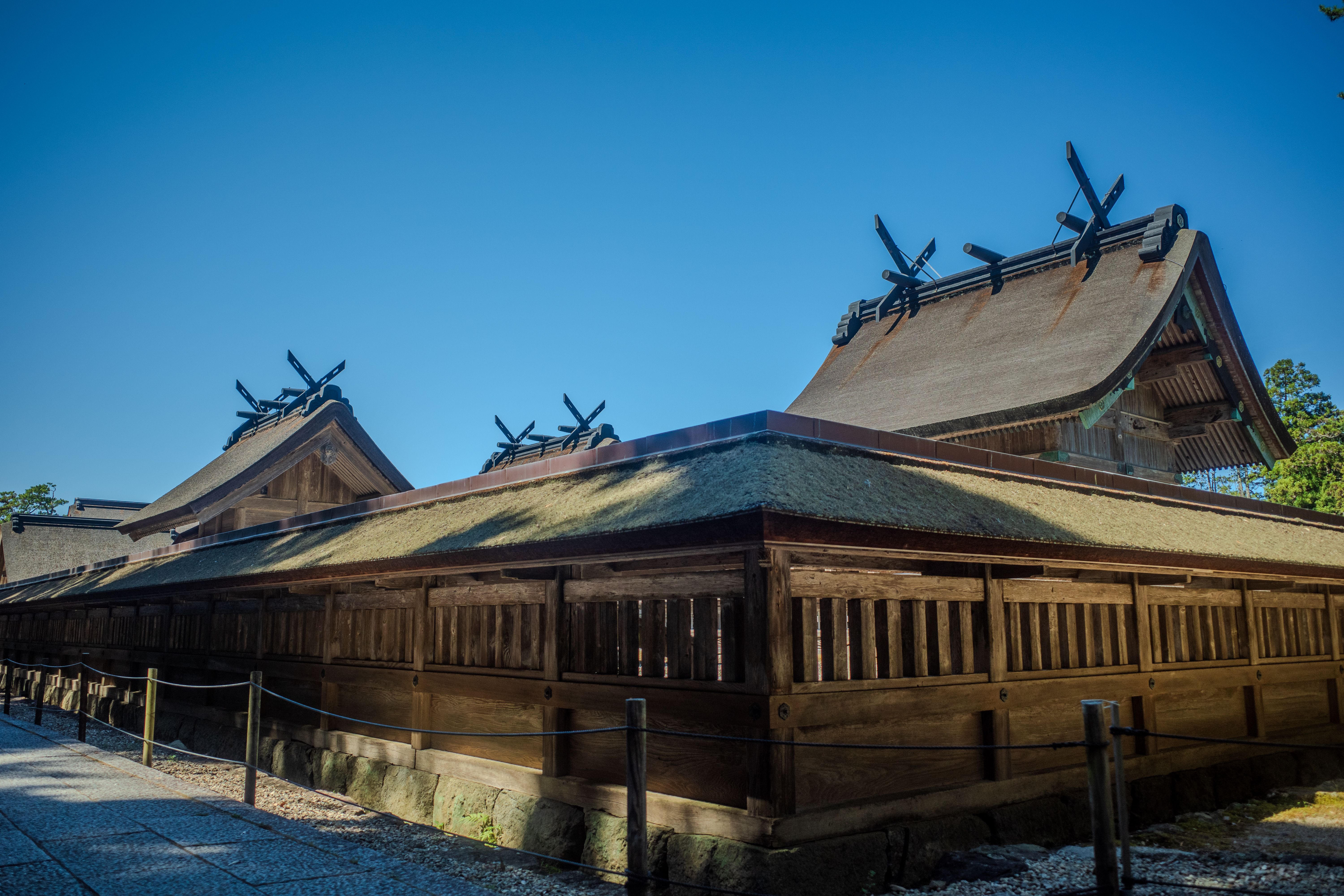 Izumo Taisha 2